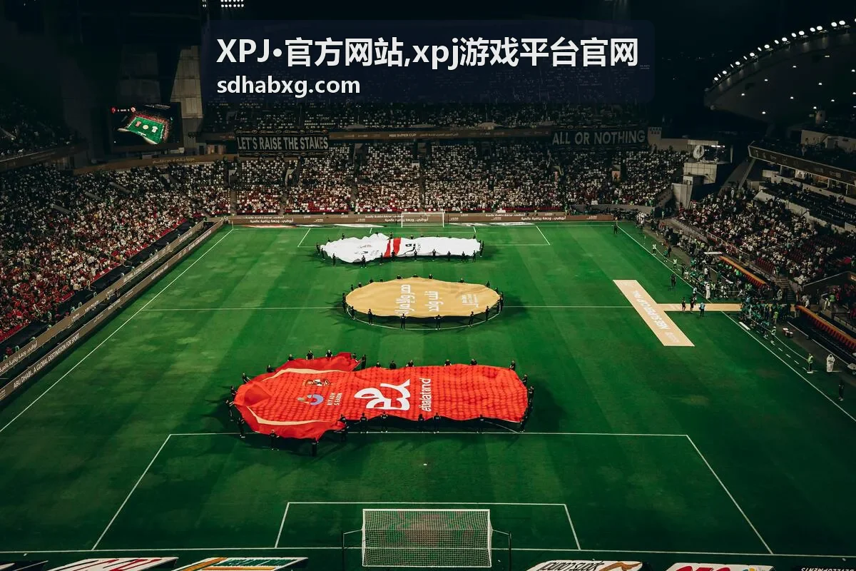 XPJ·官方网站,xpj游戏平台官网入口公告